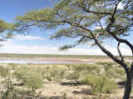 Carefree Tanzania Adventure Safari